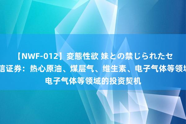 【NWF-012】変態性欲 妹との禁じられたセックス。 国信证券：热心原油、煤层气、维生素、电子气体等领域的投资契机