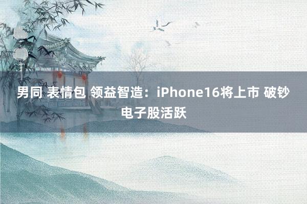 男同 表情包 领益智造：iPhone16将上市 破钞电子股活跃