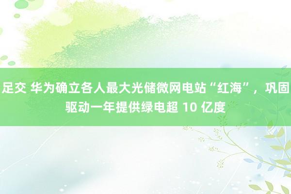 足交 华为确立各人最大光储微网电站“红海”，巩固驱动一年提供绿电超 10 亿度