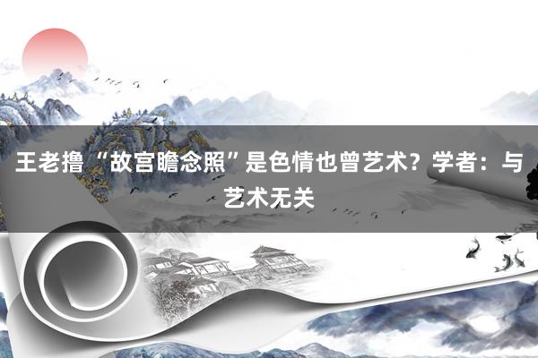 王老撸 “故宫瞻念照”是色情也曾艺术？学者：与艺术无关