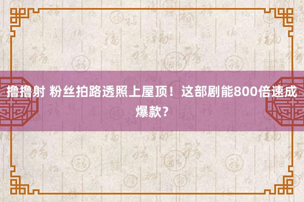 撸撸射 粉丝拍路透照上屋顶！这部剧能800倍速成爆款？