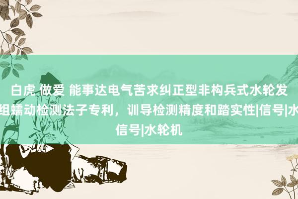 白虎 做爱 能事达电气苦求纠正型非构兵式水轮发电机组蠕动检测法子专利，训导检测精度和踏实性|信号|水轮机